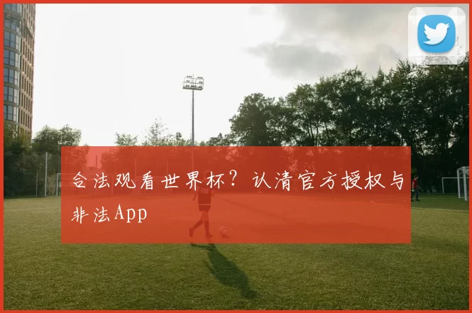 合法观看世界杯?认清官方授权与非法App
