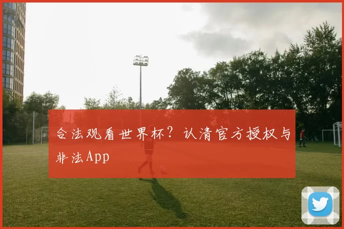 合法观看世界杯?认清官方授权与非法App