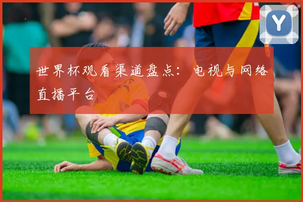 世界杯观看渠道盘点:电视与网络直播平台