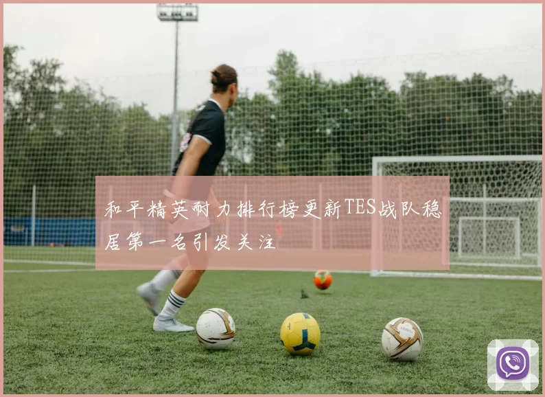 和平精英耐力排行榜更新TES战队稳居第一名引发关注