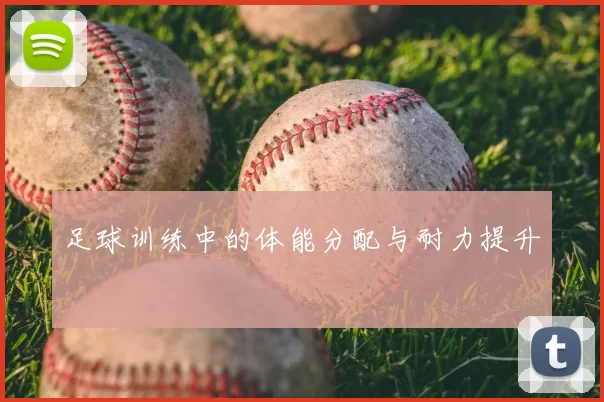 足球训练中的体能分配与耐力提升