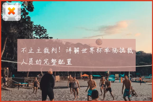 不止主裁判!详解世界杯单场执裁人员的完整配置