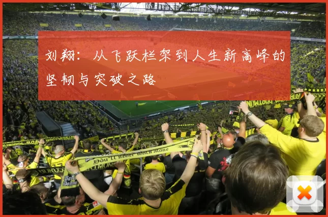 刘翔:从飞跃栏架到人生新高峰的坚韧与突破之路
