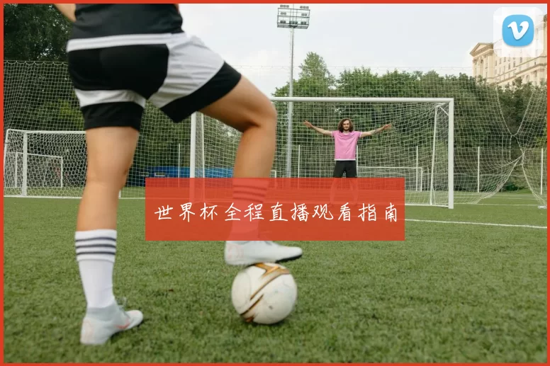 世界杯全程直播观看指南