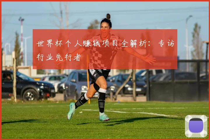 世界杯个人赚钱项目全解析：专访行业先行者
