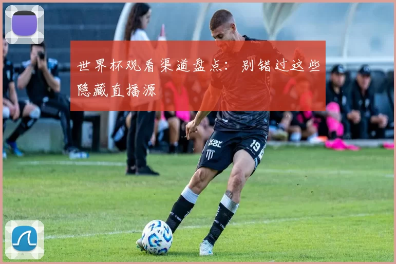 世界杯观看渠道盘点:别错过这些隐藏直播源