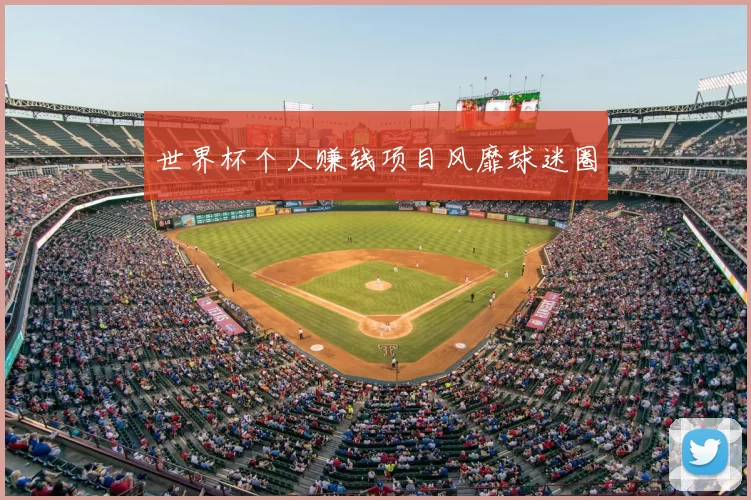 世界杯个人赚钱项目风靡球迷圈
