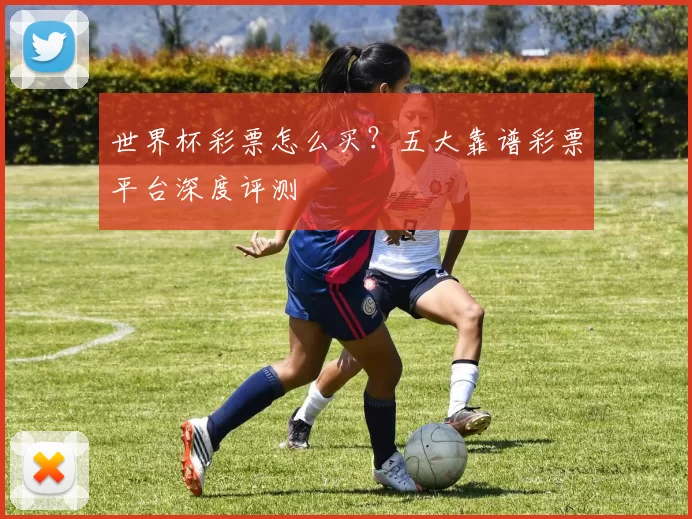 世界杯彩票怎么买?五大靠谱彩票平台深度评测