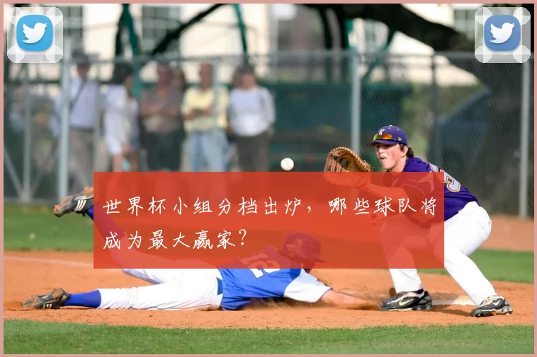 世界杯小组分档出炉,哪些球队将成为最大赢家?