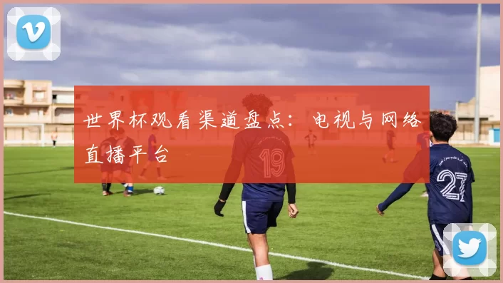 世界杯观看渠道盘点：电视与网络直播平台