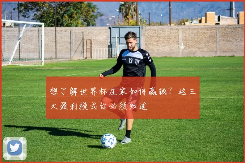 想了解世界杯庄家如何赢钱?这三大盈利模式你必须知道