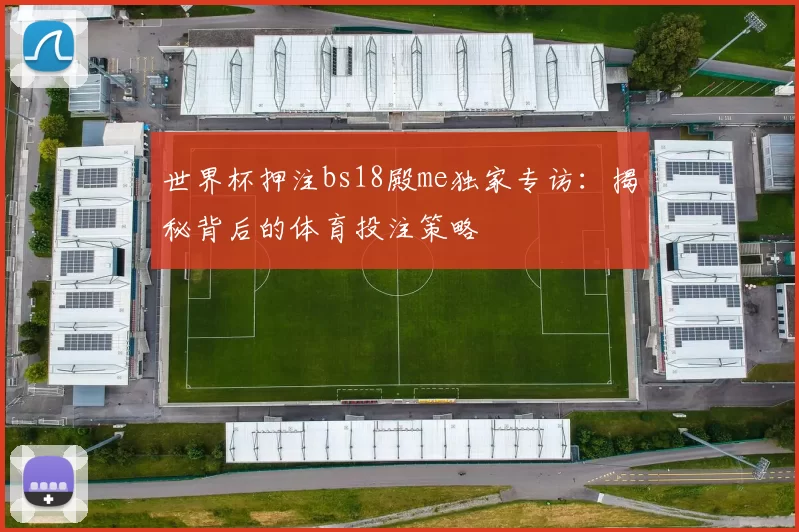 世界杯押注bs18殿me独家专访:揭秘背后的体育投注策略